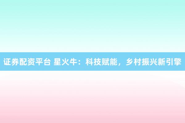 证券配资平台 星火牛：科技赋能，乡村振兴新引擎