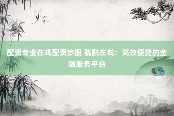 配资专业在线配资炒股 骁融在线：高效便捷的金融服务平台