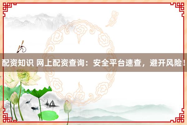 配资知识 网上配资查询：安全平台速查，避开风险！
