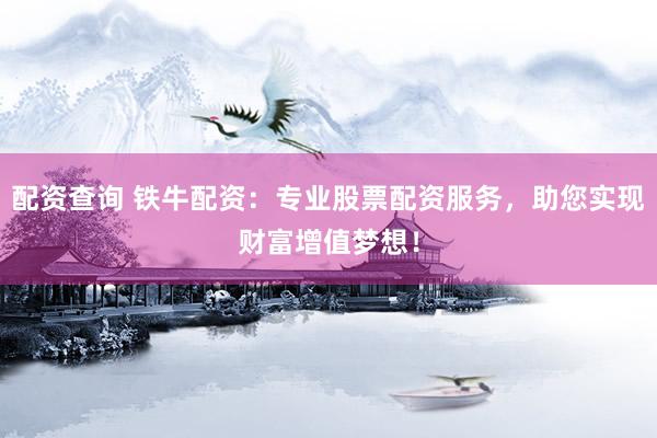 配资查询 铁牛配资：专业股票配资服务，助您实现财富增值梦想！