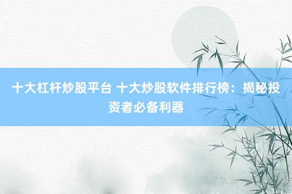 十大杠杆炒股平台 十大炒股软件排行榜：揭秘投资者必备利器