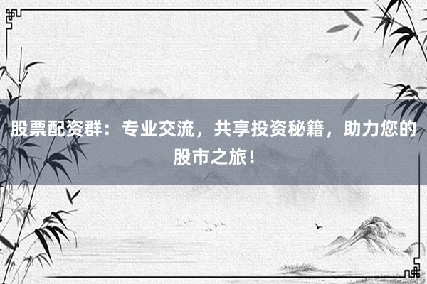 股票配资群：专业交流，共享投资秘籍，助力您的股市之旅！