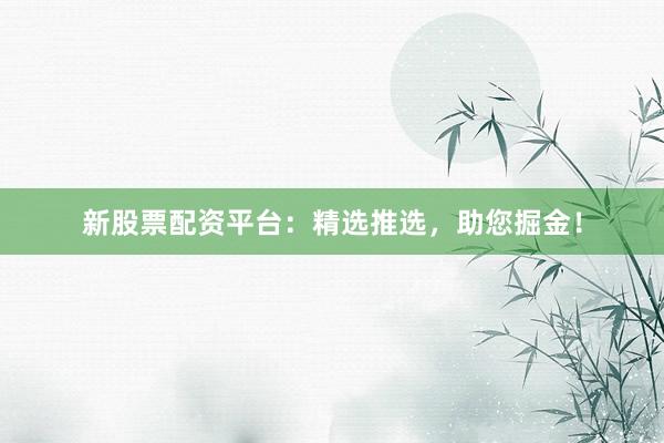 新股票配资平台：精选推选，助您掘金！