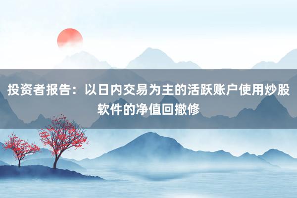投资者报告：以日内交易为主的活跃账户使用炒股软件的净值回撤修