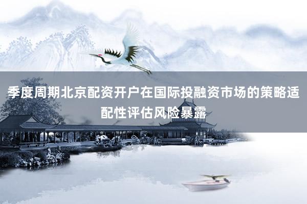 季度周期北京配资开户在国际投融资市场的策略适配性评估风险暴露