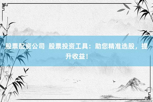 股票配资公司  股票投资工具：助您精准选股，提升收益！