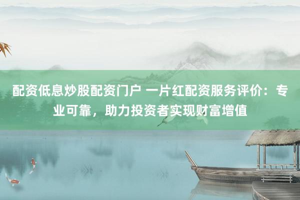 配资低息炒股配资门户 一片红配资服务评价：专业可靠，助力投资者实现财富增值