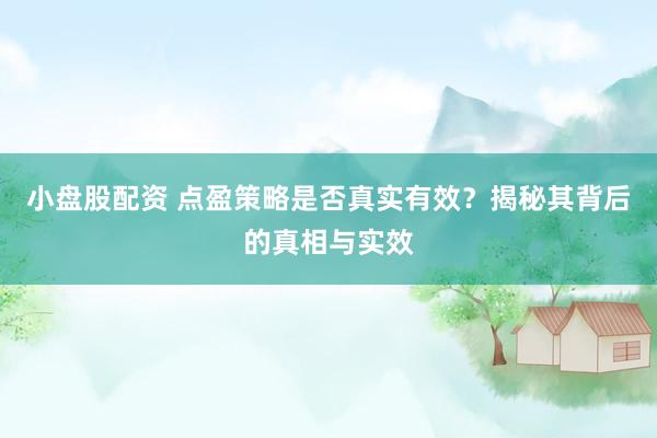 小盘股配资 点盈策略是否真实有效？揭秘其背后的真相与实效