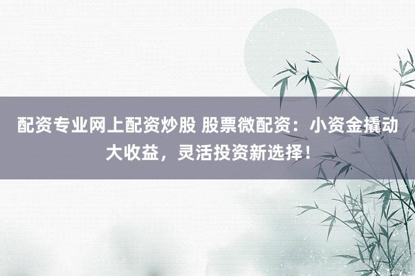 配资专业网上配资炒股 股票微配资：小资金撬动大收益，灵活投资新选择！